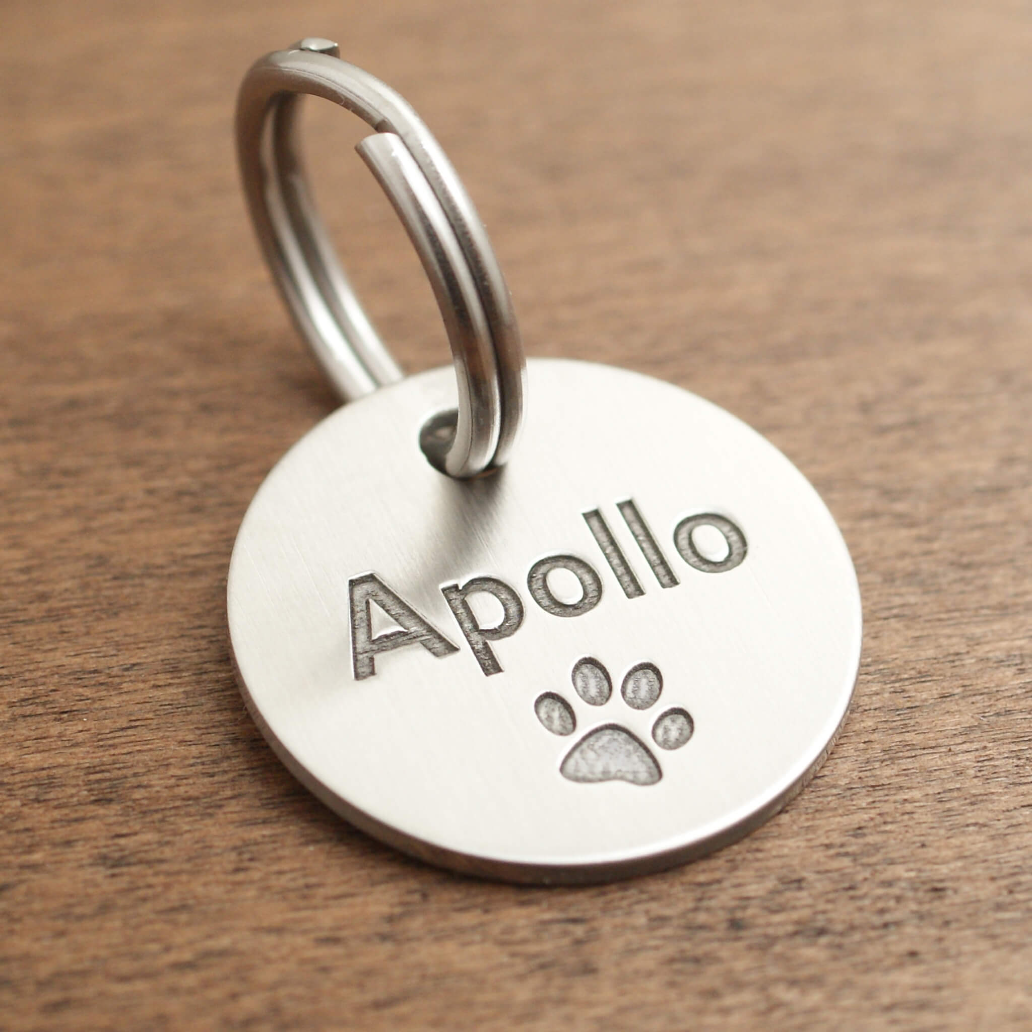 Dog id tag Apollo