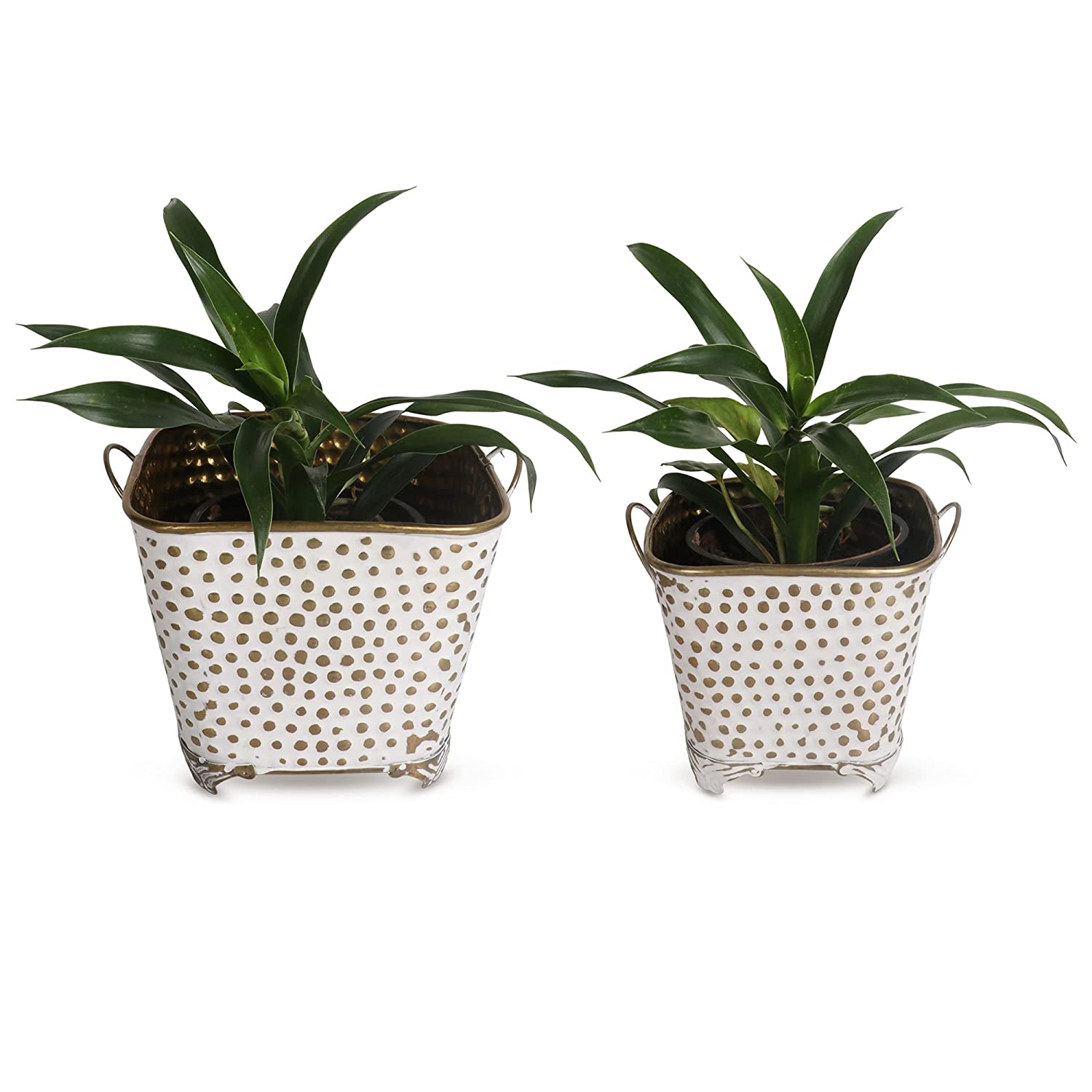 White Gold Plant Pot with stand
