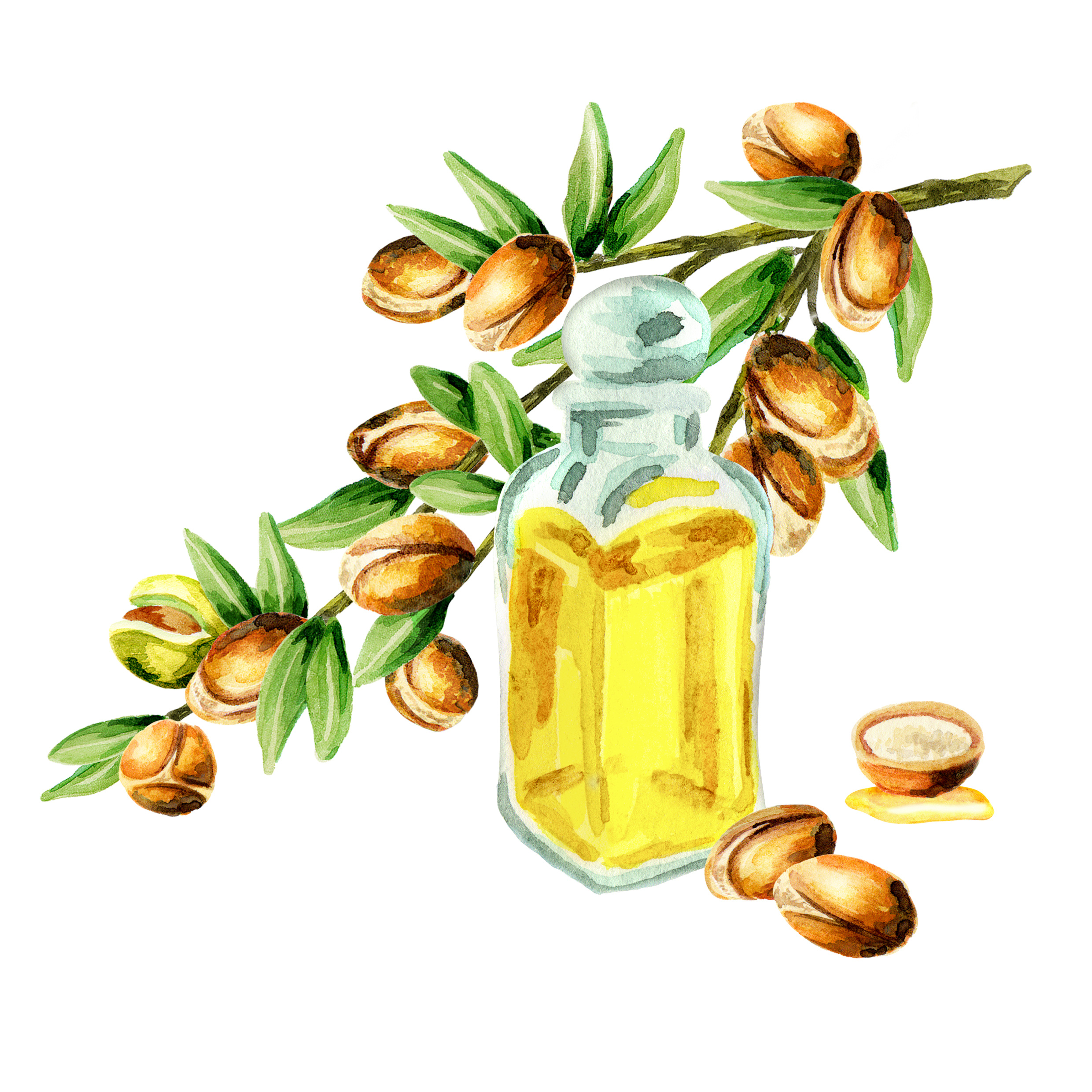 Argan oil water color - natural haircare