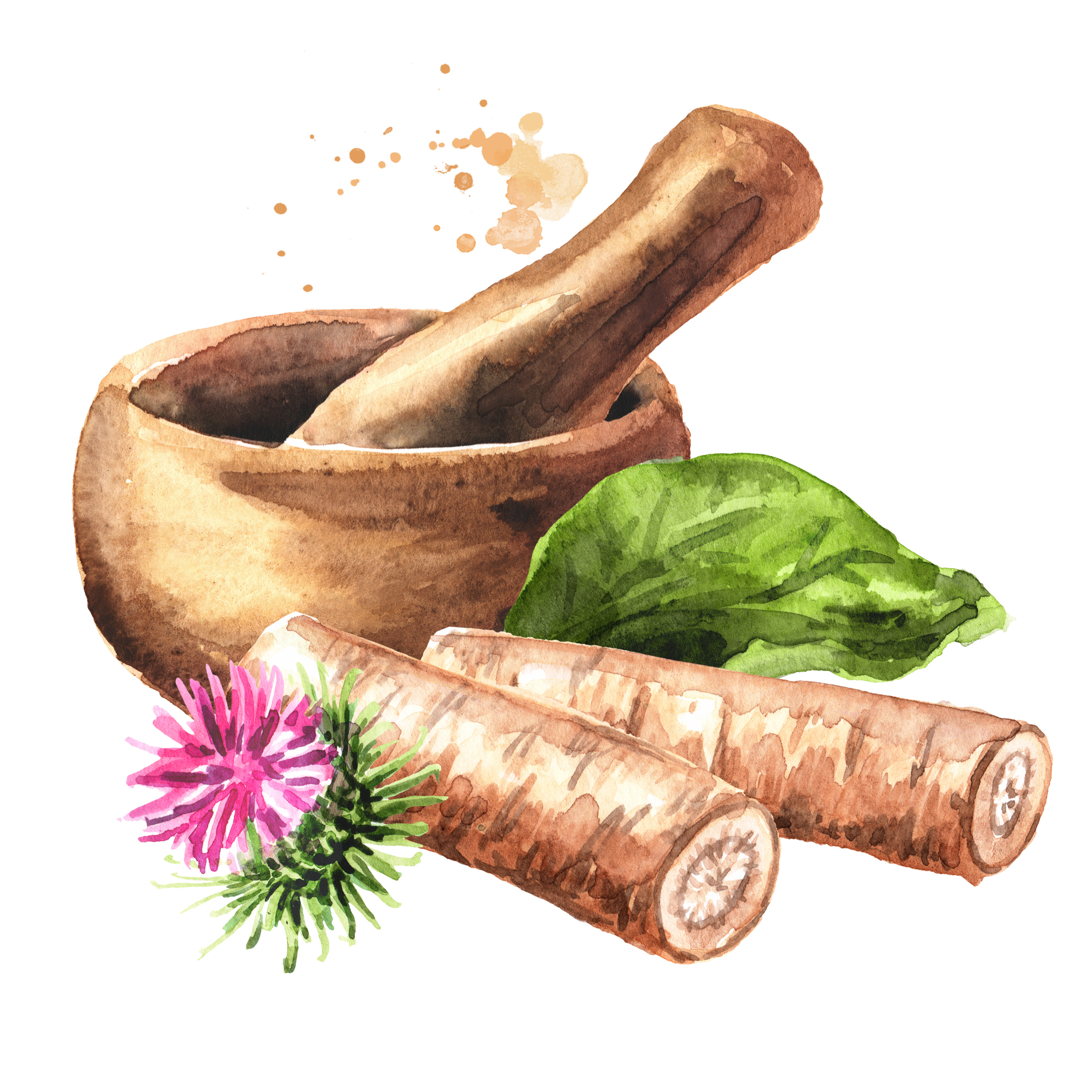 Burdock root water color - natural haircare