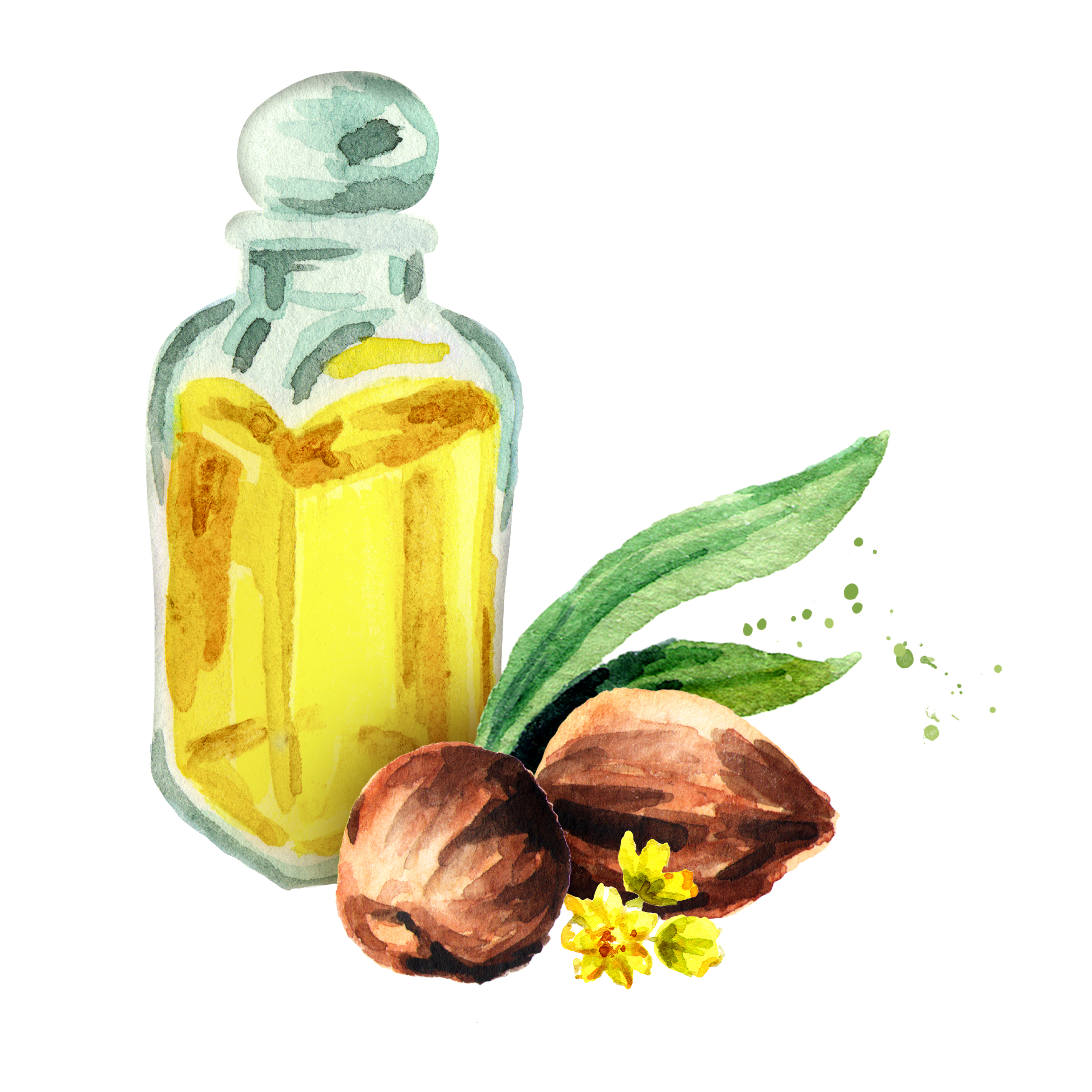 Acuarela con aceite de jojoba