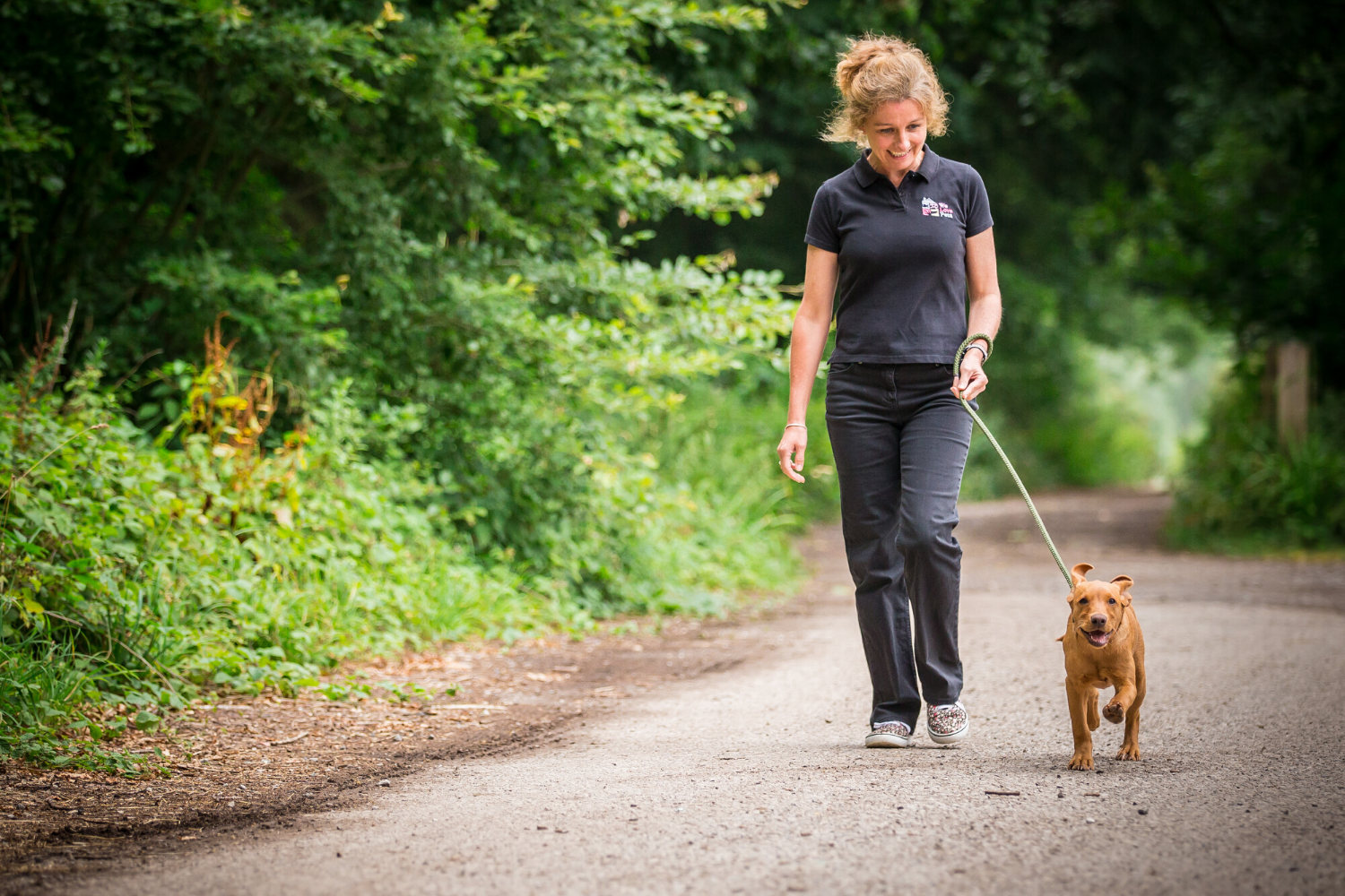 Dog sitters and helpers walking your dog