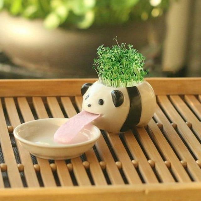 Self-Watering Cute animal planters
