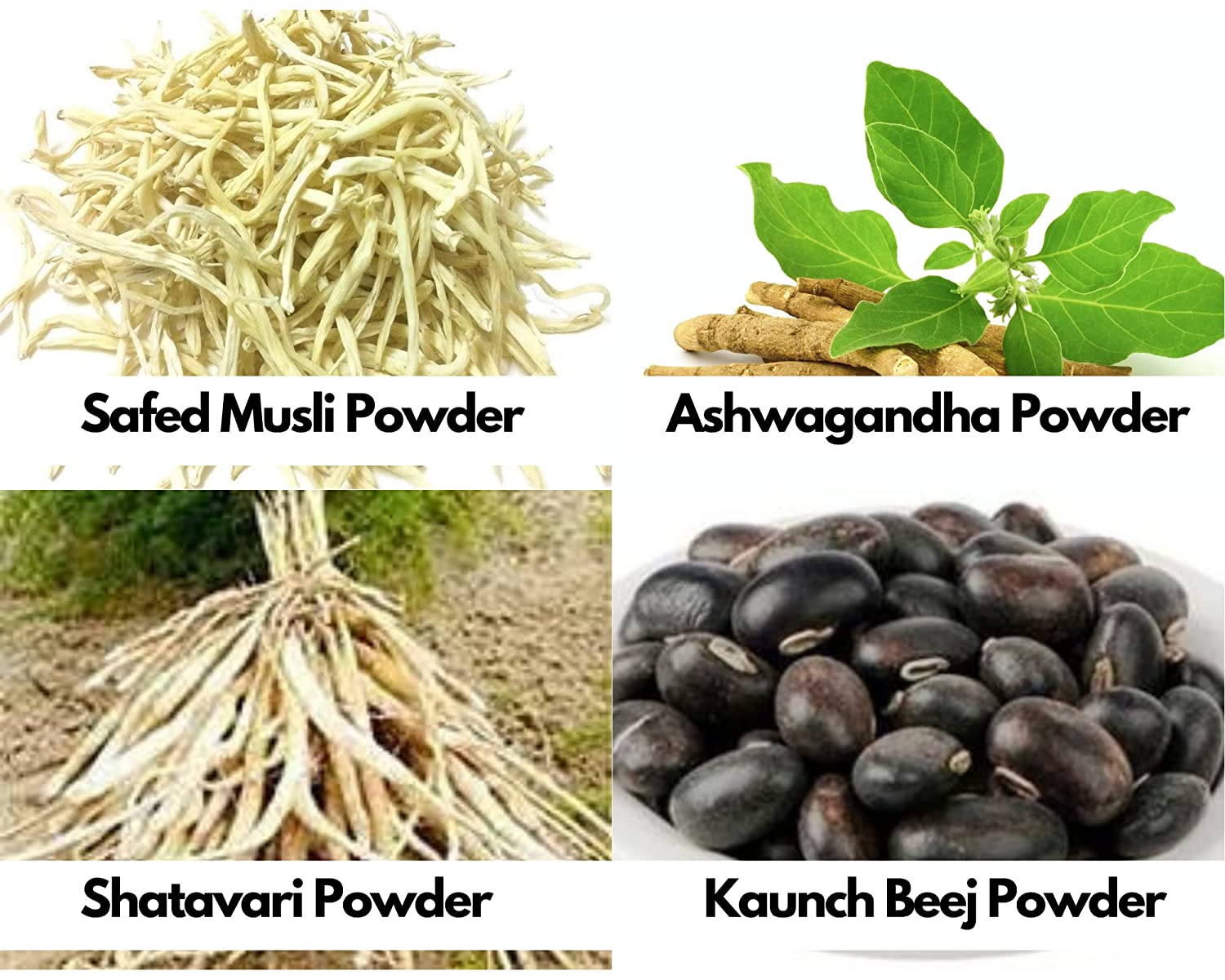 shatavri,ashwagandha,safed musli,kaunch beej