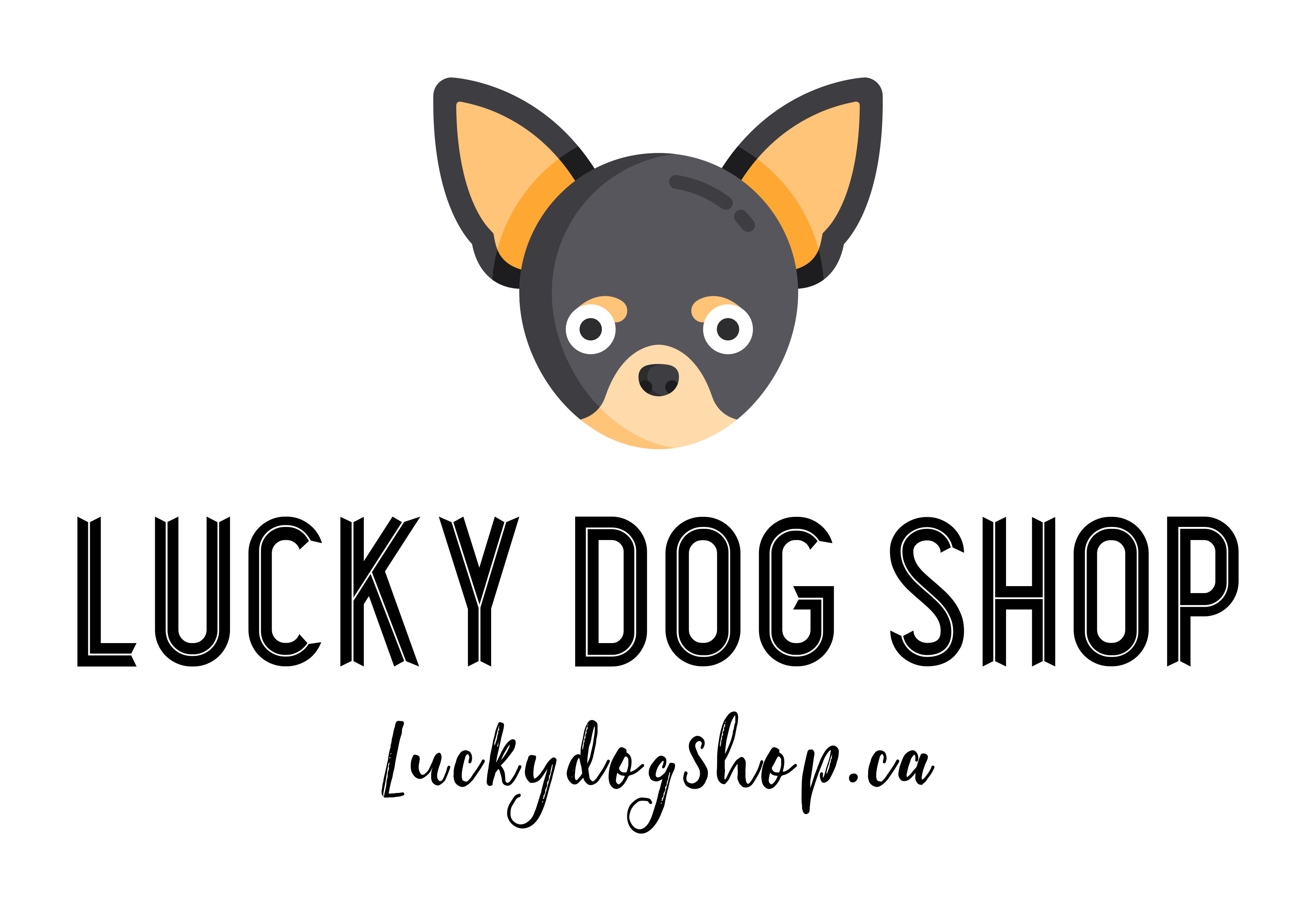 lucky dog store